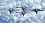 The Blueangles
