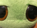 ZIPPY LAND!!!