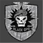 The Black Ops of Robloxia