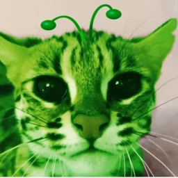 Zwei's Programming Sandbox icon