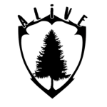 Bedwars Alive clan