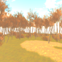 fall HD