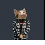 Dripcats_C-O