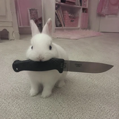 you'll see me but I won't see you later Roblox group icon
