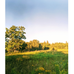 Photography With me