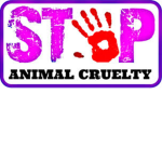 Stop Animal Cruelty #EndAnimalCruelty