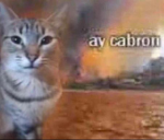 Abro puertas y cierro bocas