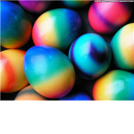 The Egg Traders