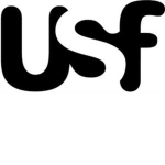 USF (Ultimate Sword Fighting)