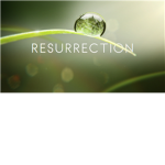Resurrection!
