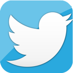 Twitter Bird Team