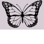 athnqa’s butterflies