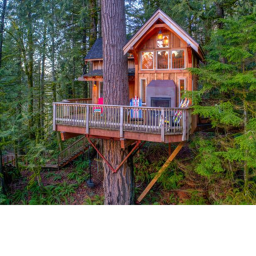 TrEe HoUsEs!