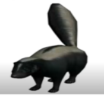 the skunk