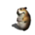Blurry Chomik