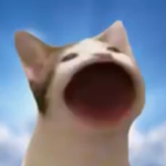 POP KAT CLAN