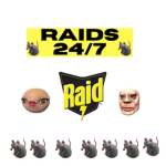 RAIDZ 24/7