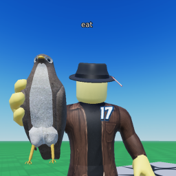 Hawk Simulator