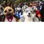 Obsessed Furries