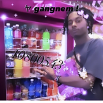 ヤ gangnem !