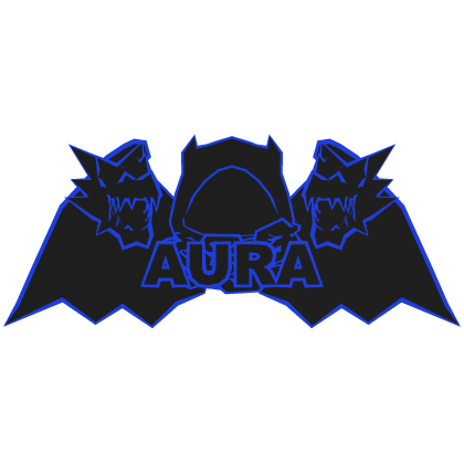Blue Hood Chain Dragon Wings AURA Combo