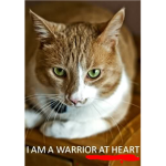Warrior Cats:BloodClan