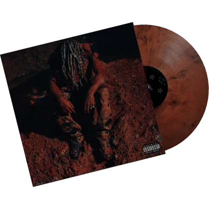 Love Lasts Forever Vinyl - Destroy Lonely | Roblox Item