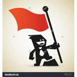 monkyes capture the flag