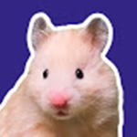 Hampster man