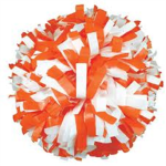 Awesomeness Cheer Squad
