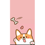 SOMOS EL CORGIS