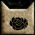 Meadow Clan ~ Warrior Cats