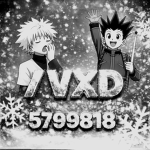 /vxd