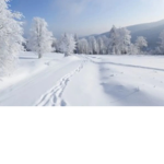 Snow karate