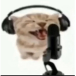 floppa society that is indeed epic