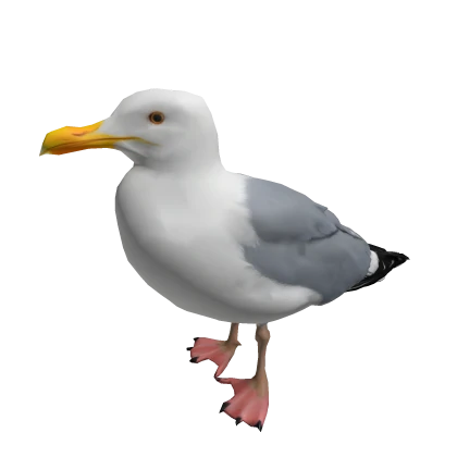 Seagull Bird Right Shoulder Pet | Roblox Item - Rolimon's