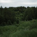 BUBUTUKULEO