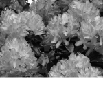 Cyb3!uv