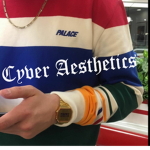 CYBER AESTHETICS™