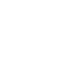 Magic System
