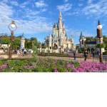 Disney worlds fan group