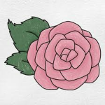 Rosy Starz