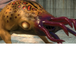 Bullsquid men