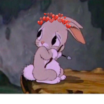 bunny love!