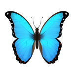Gya’s butterfly squad
