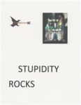 STUPIDITY ROCKS