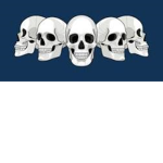 OMG skull