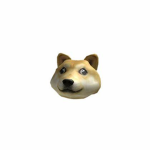 TheCrazyDogs