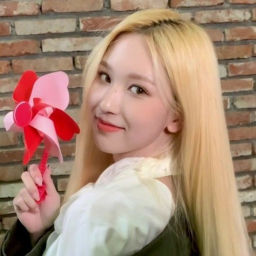 ✧