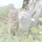 - soph’s closet-